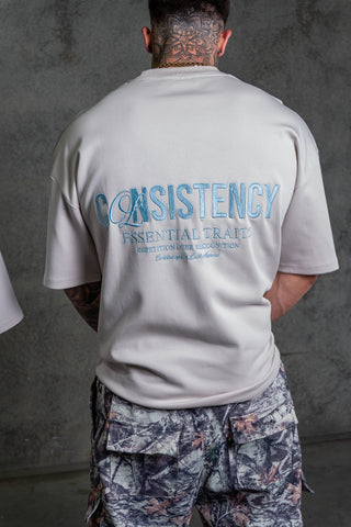 CONSISTENCY TEE - PLATINUM - TEESOn Lock Apparel