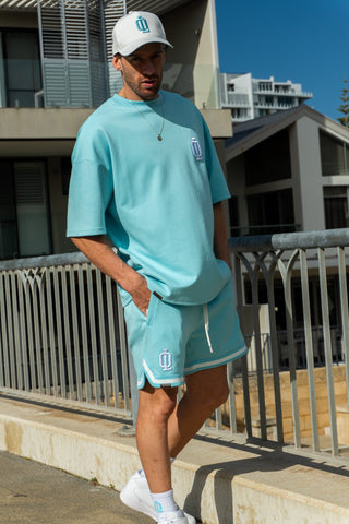 OL SERIES TEE - ARCTIC BLUE - On Lock Apparel XS TEES