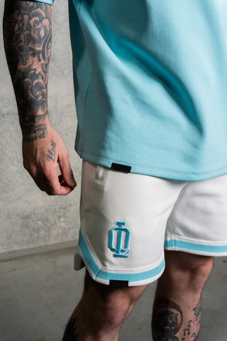 OL SERIES TEE - ARCTIC BLUE - On Lock Apparel XS TEES