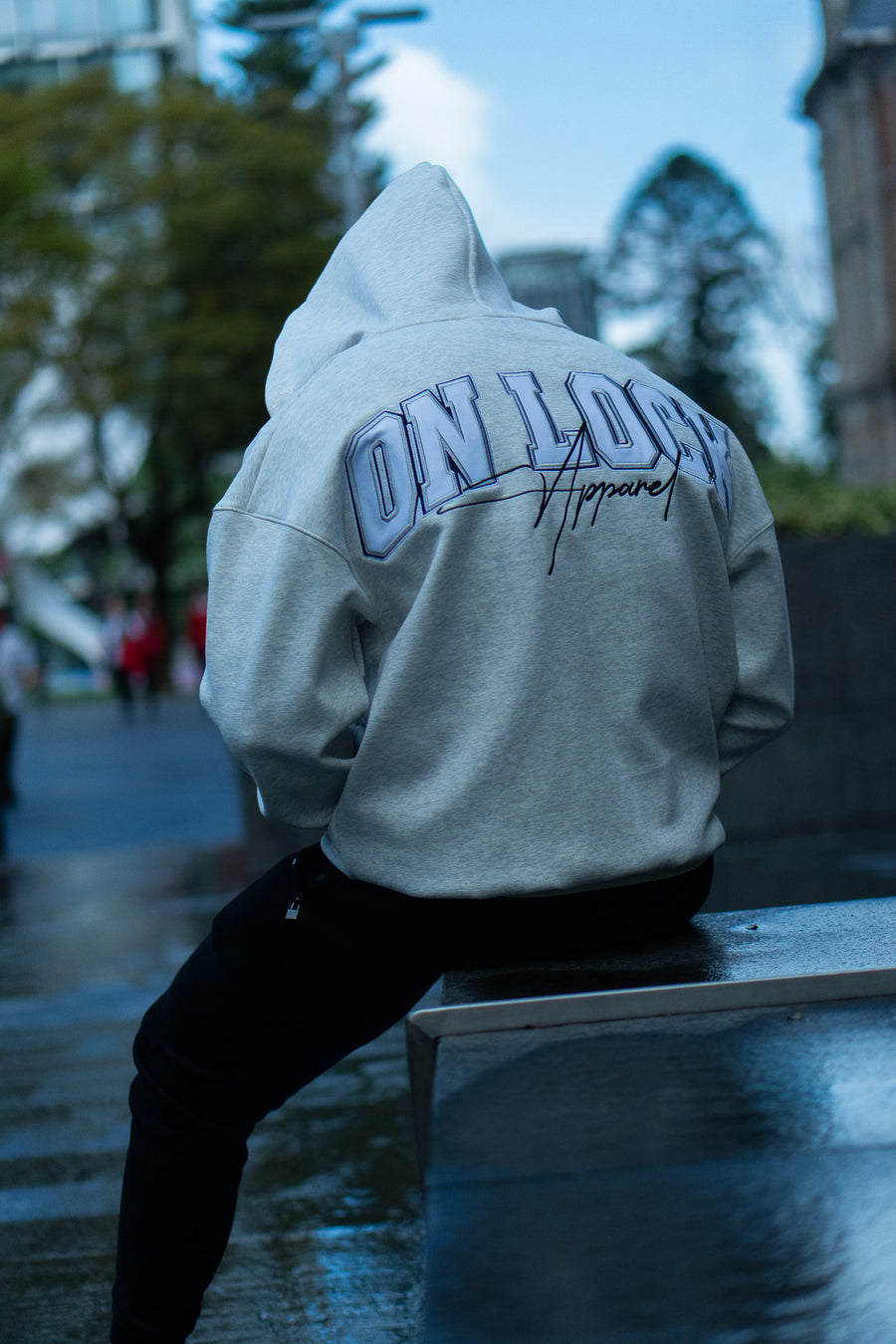 MONOLITH ZIP HOOD - MARLE GREY