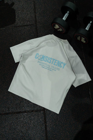 CONSISTENCY TEE - PLATINUM - TEESOn Lock Apparel