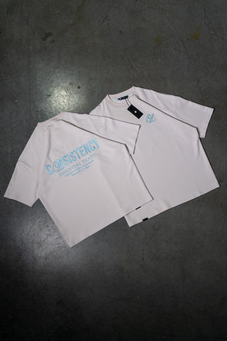 CONSISTENCY TEE - PLATINUM - TEESOn Lock Apparel