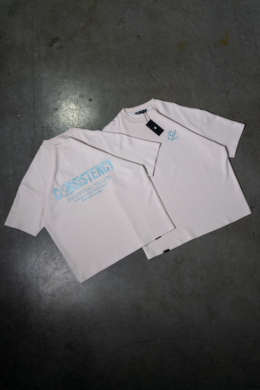 CONSISTENCY TEE - PLATINUM - TEESOn Lock Apparel