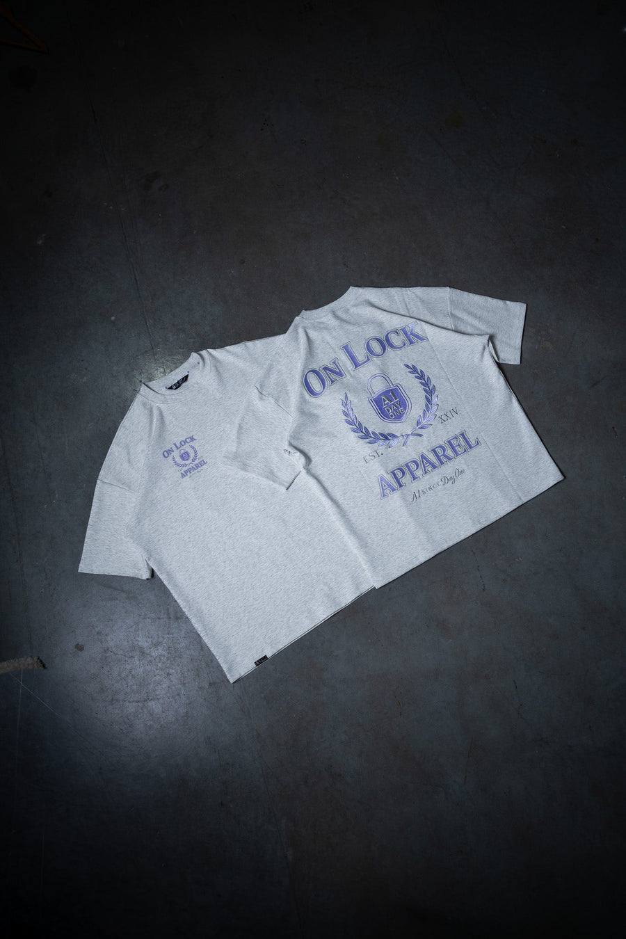 DAY ONES TEE - HEATHER GREY - TEESOn Lock Apparel