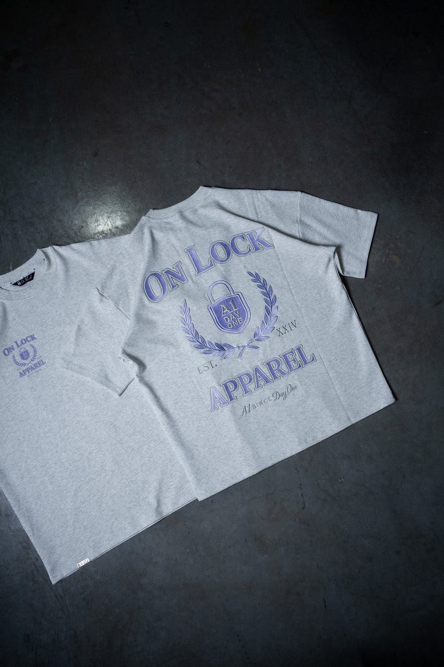 DAY ONES TEE - HEATHER GREY - TEESOn Lock Apparel