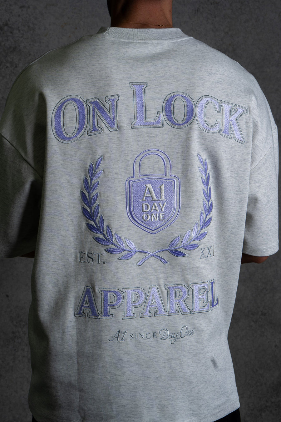 DAY ONES TEE - HEATHER GREY - TEESOn Lock Apparel
